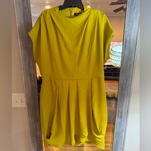 Express Mustard Yellow Garment